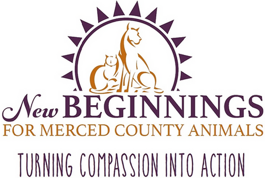 New Beginnings for Merced County Animals