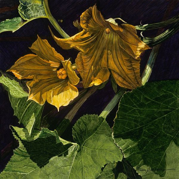 Squash Blossom_18x18 10 inches 72 Dpi.jpg
