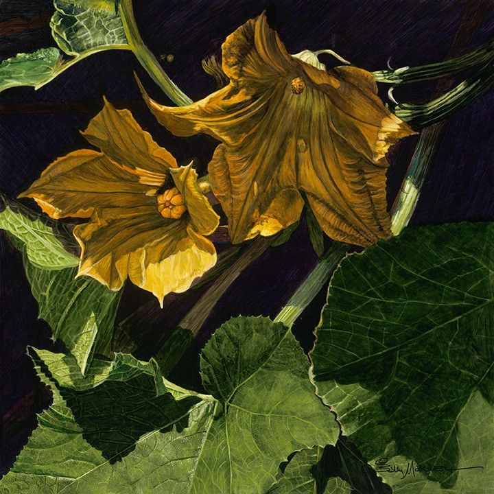 Squash Blossom_18x18 10 inches 72 Dpi.jpg