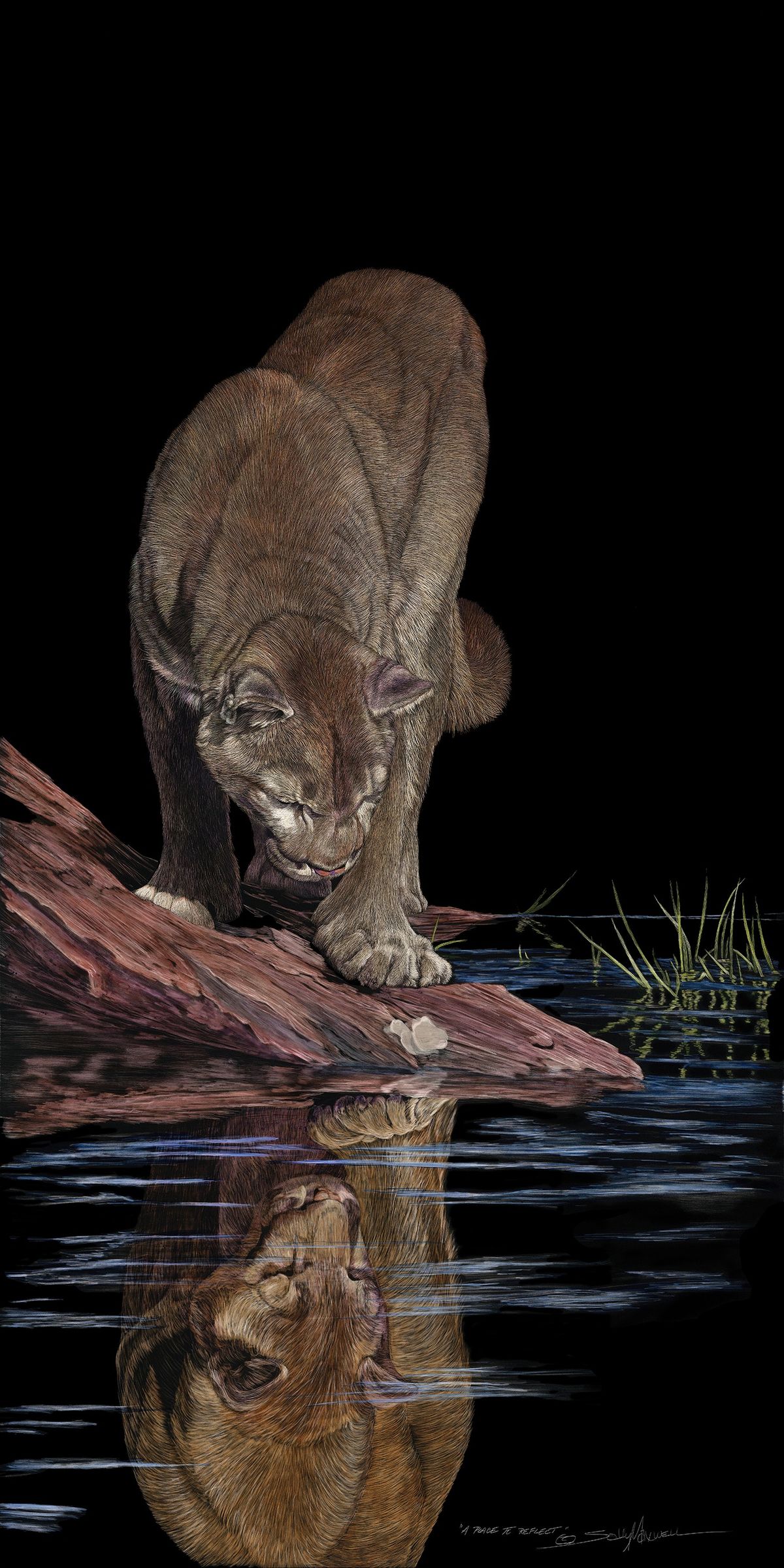 A Place to Reflect_24x48 10 inches 300 Dpi.jpg