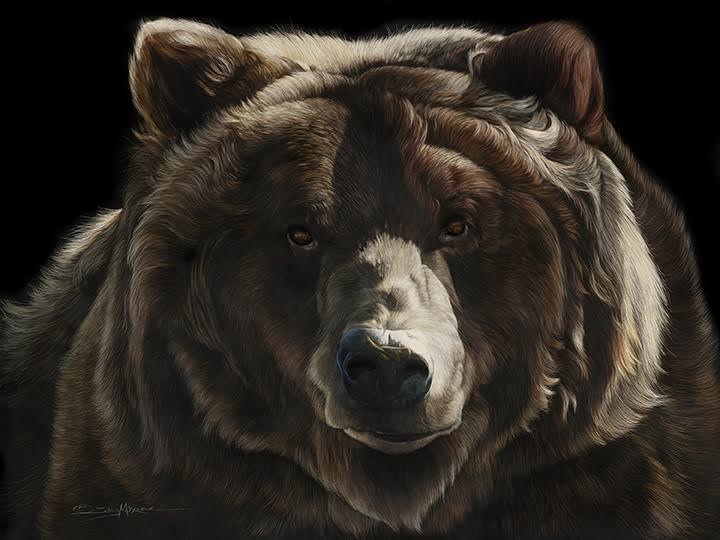 be bear aware.jpg