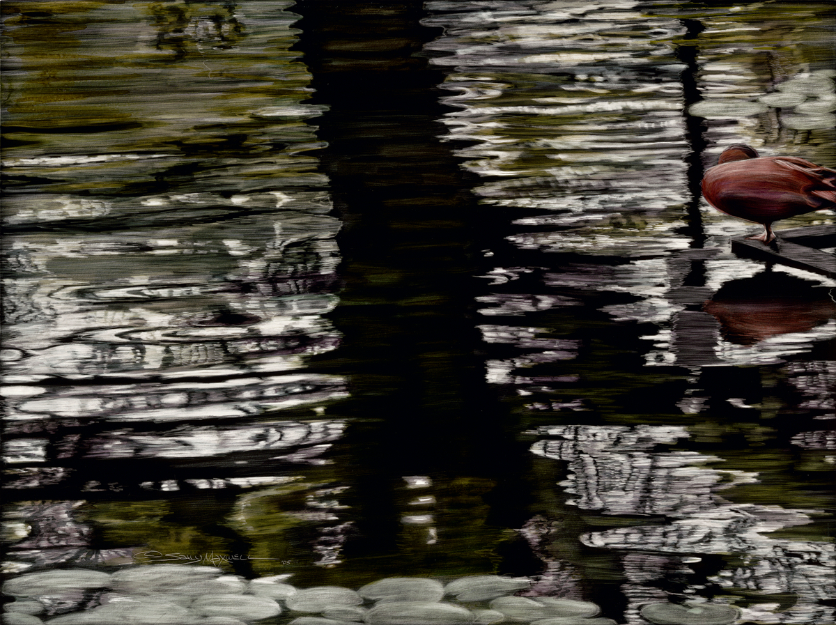 houston zoo reflection.jpg