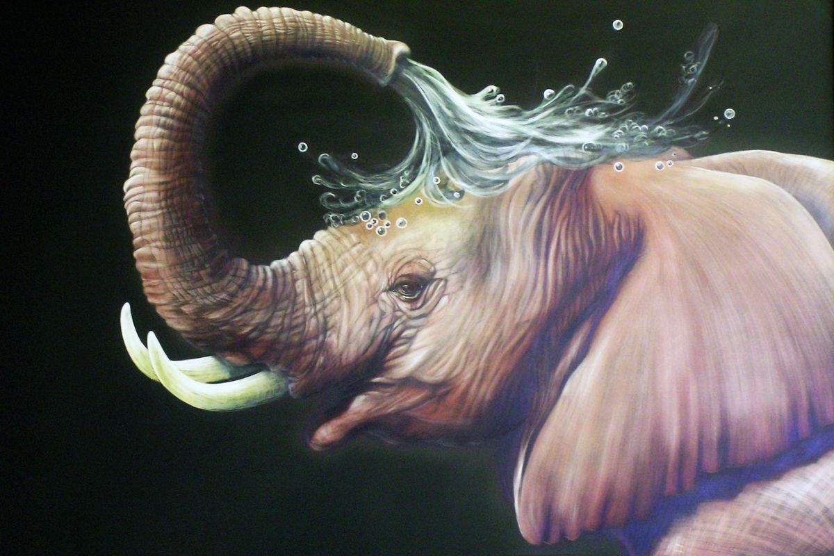 baby elephant bath.jpg