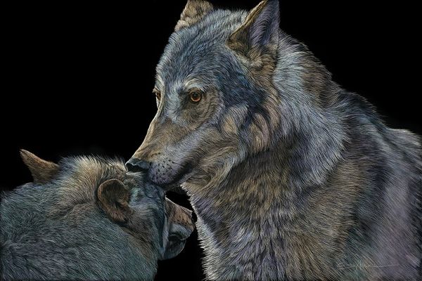 The Chosen One_30x20 10 inches 72 Dpi.jpeg