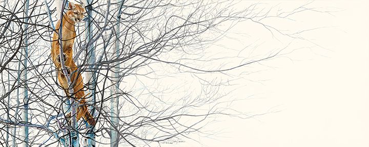 Out On A Limb 60x24 10 inches 72 dpi.jpg