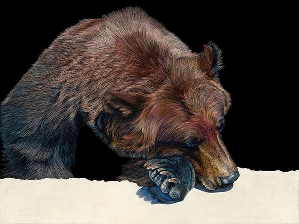 Don't Poke the Bear 24x18 10 inches 72 dpi jpeg.jpeg