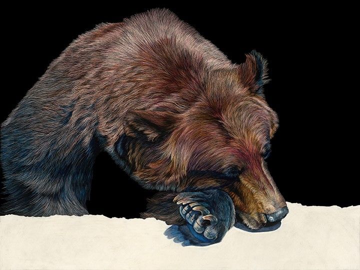 Don't Poke the Bear 24x18 10 inches 72 dpi jpeg.jpeg