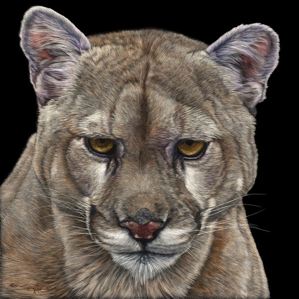 Hello Kitty_36x36 10 inches 300 Dpi.jpg