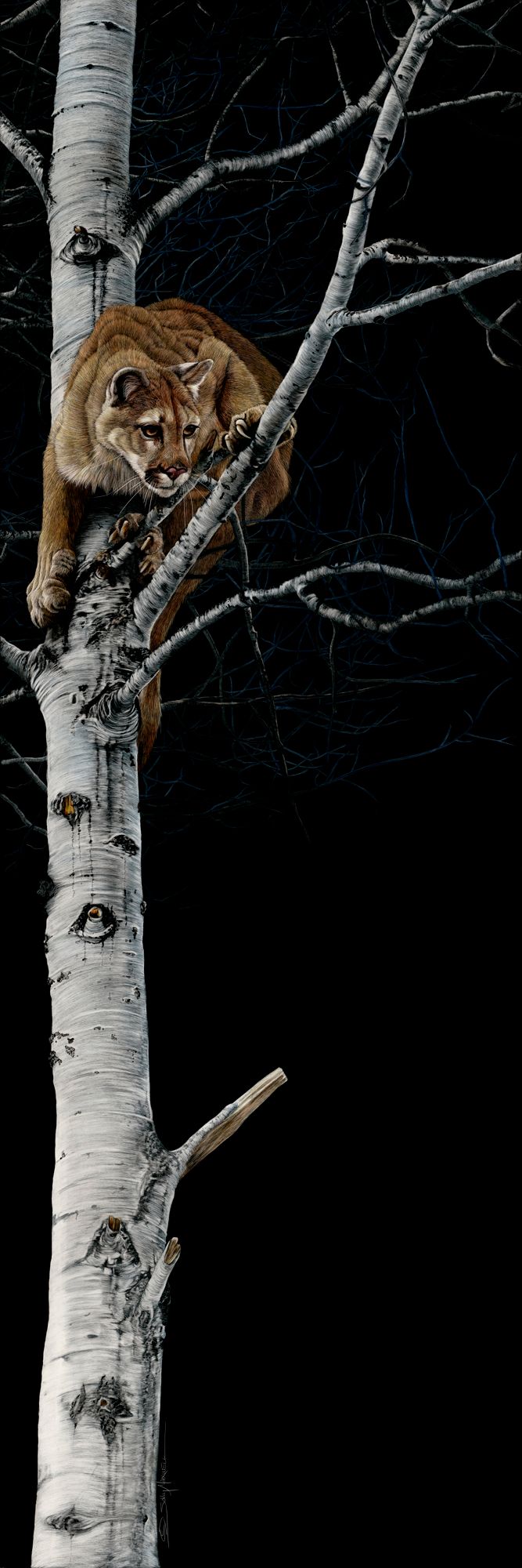 Precarious Position_10_24x72.jpg