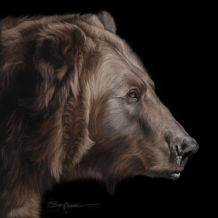 Profile-of-a-Grizzley-Bear 24x24-.jpg