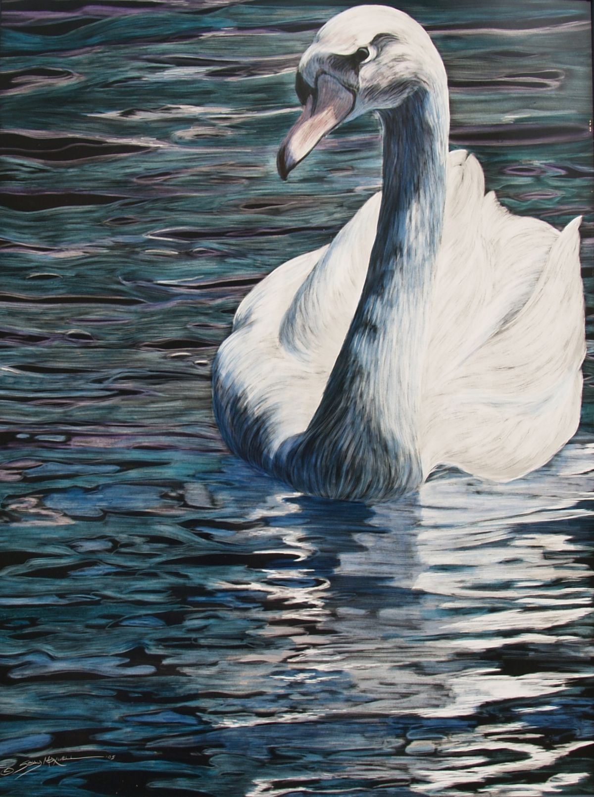 quiet swan.jpg