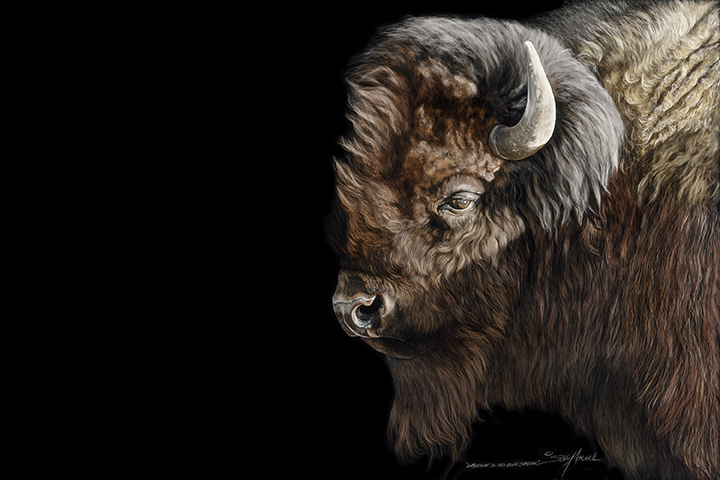 Walking In His Shadow_36x24.jpg