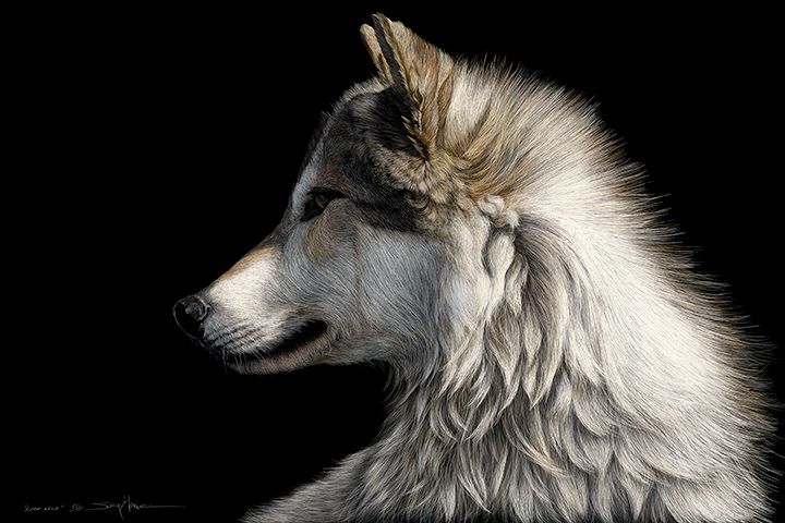 Lone Wolf_36x24.jpg