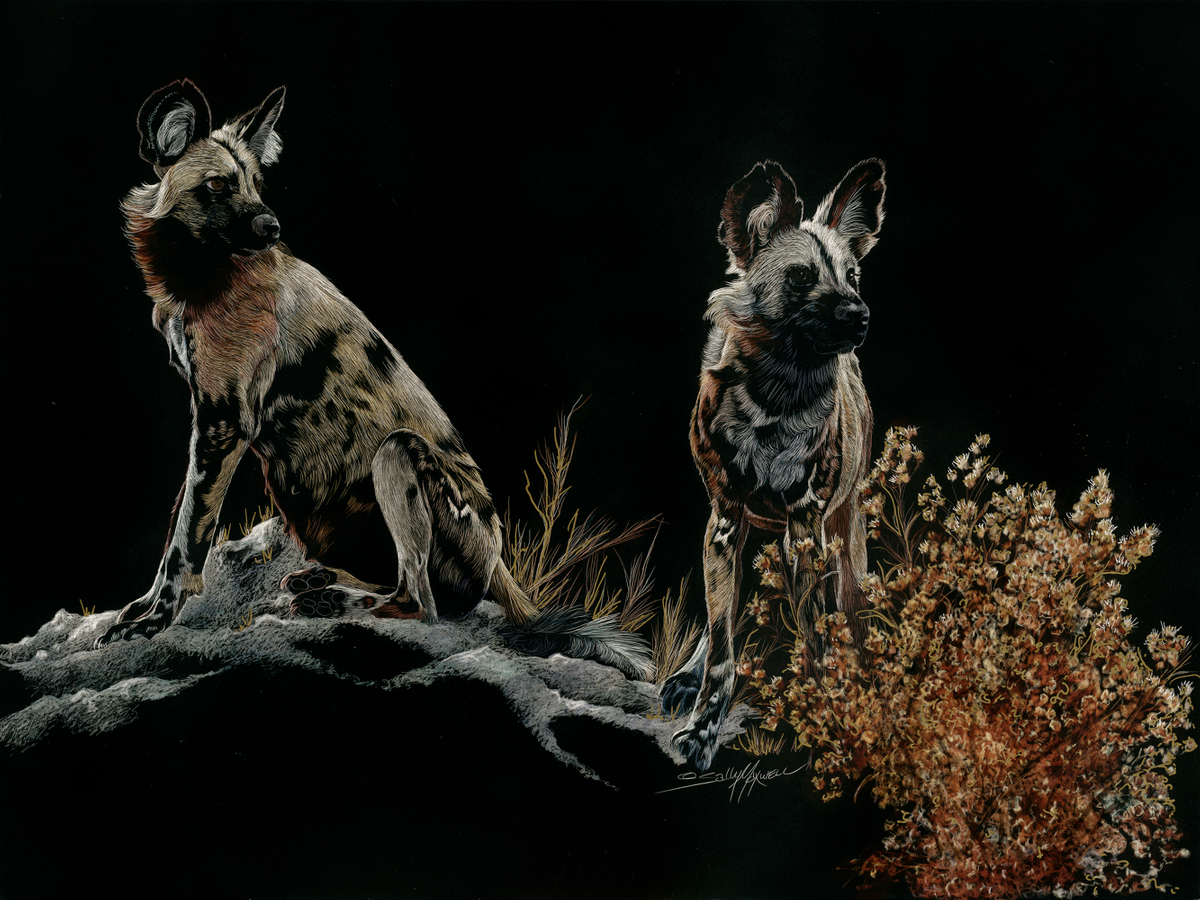 all ears.jpg