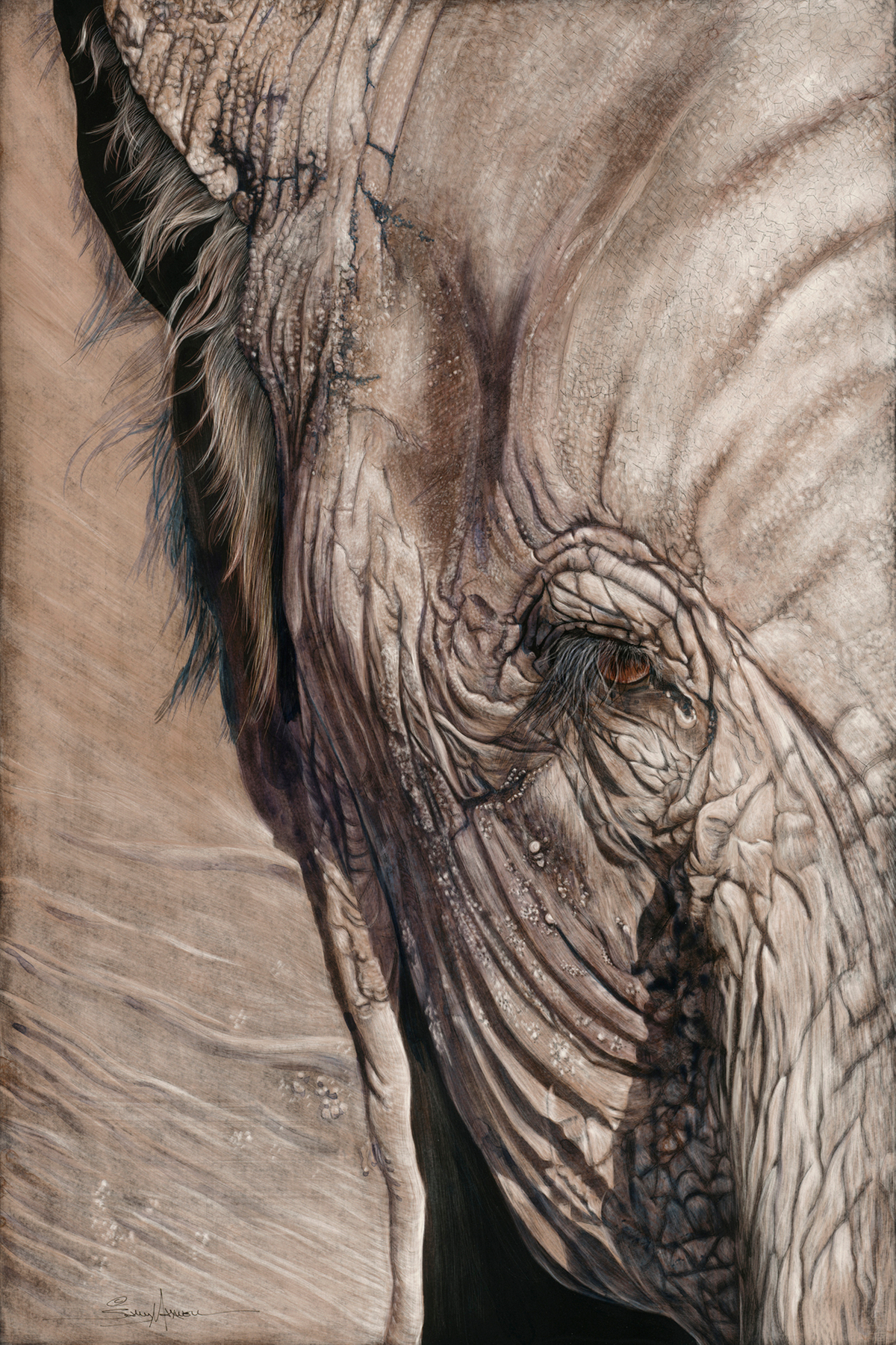 sad eye_24x36.jpg