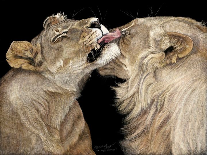 Lick and a Promise_24x18 10 inches 72 dpi JPEG.jpg