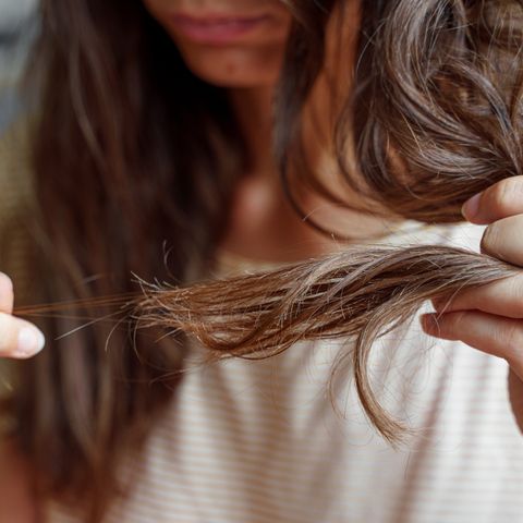 Hair Shedding.jpg