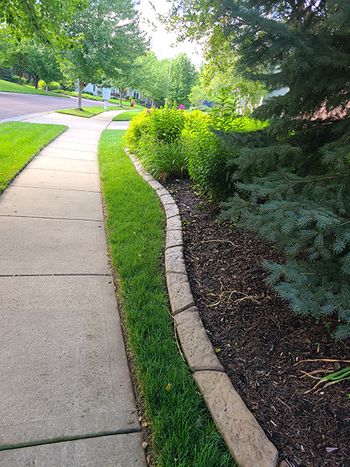 brown with sidewalk.jpg