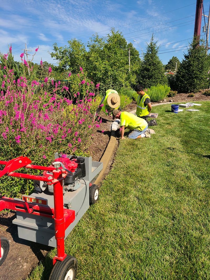 Features - Border Magic, image size:800x1066