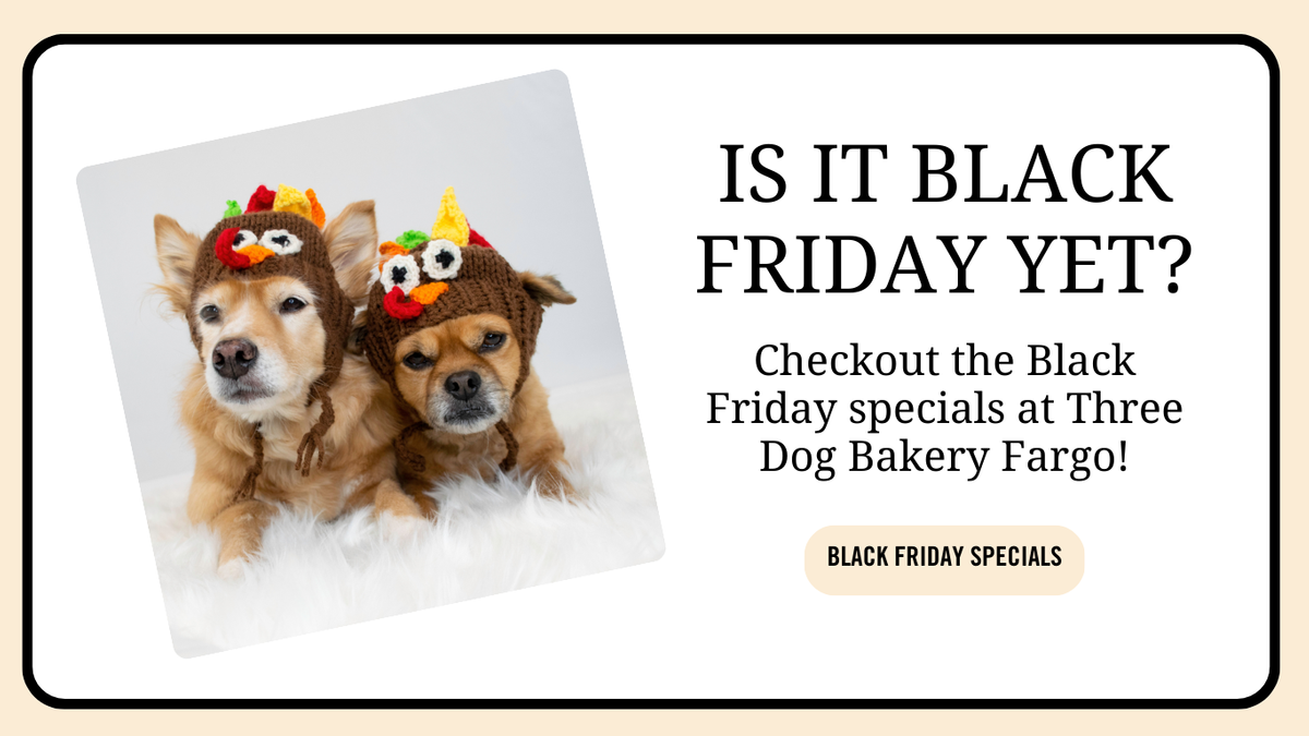 Brown Black Is It Friday Yet Meme (Website).png