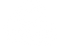 pill icon.png