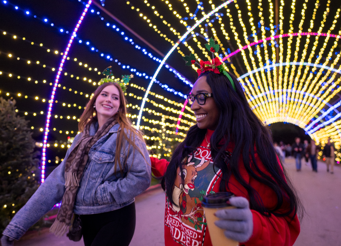 Screenshot 2025-12-29 at 11.27.12%E2%80%AFAM.png