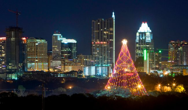 zilker-tree1.jpg
