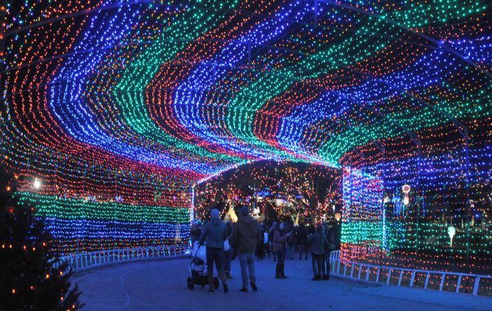 Zilker Park Christmas Lights 2021