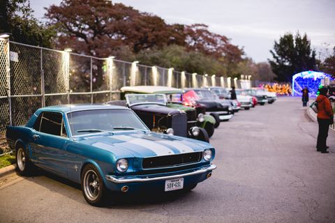 100A1288.jpg