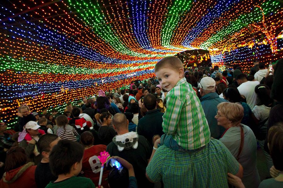 event_zilker_trail_of_lights.jpg