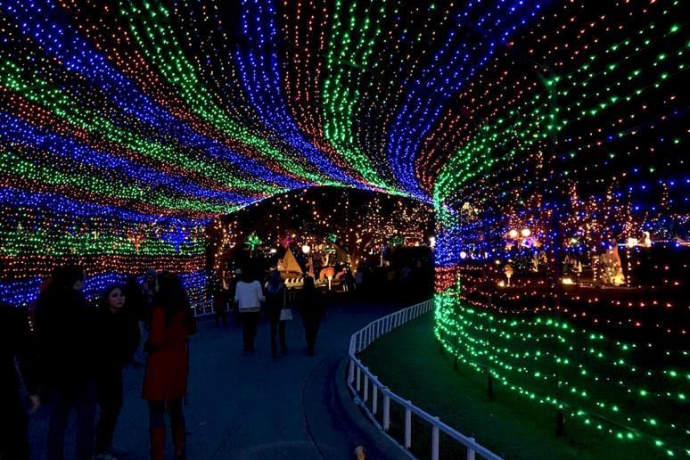The Best Christmas Light Displays in Every State Austin Trail of Lights