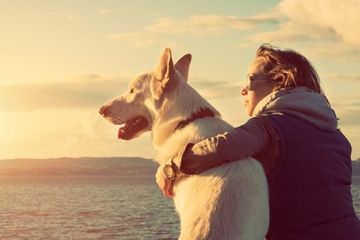 We are proud to offer Pet Care including supplies, medications, and compounding. The practice of compounding is becoming a popular solution to veterinary problems. Pet Care