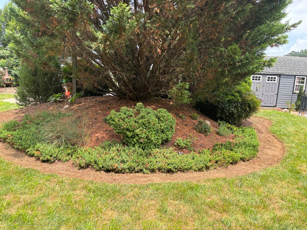 Yard prepared for a new concrete landscape border
