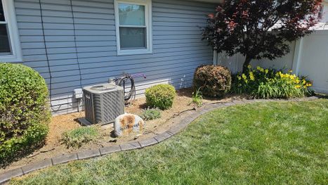 Decorative stone landscape border with shrubs and flowers beside house