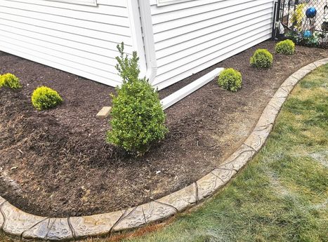 Decorative landscape border with mulch and shrubs