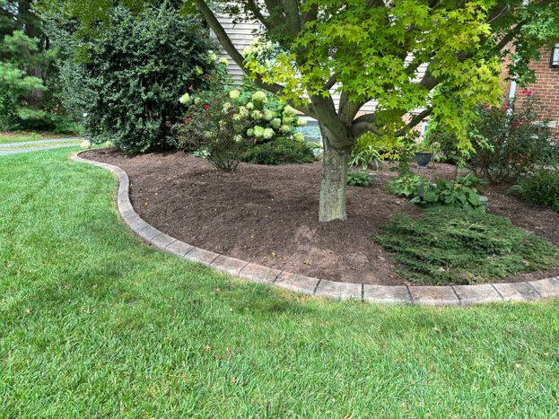 Decorative stone landscape border with mulch and shrubs beneath tree