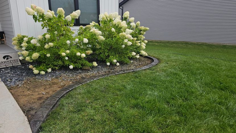 Decorative stone landscape border around shrubs