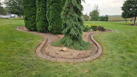 Decorative curved stone landscape border surrounding evergreen trees
