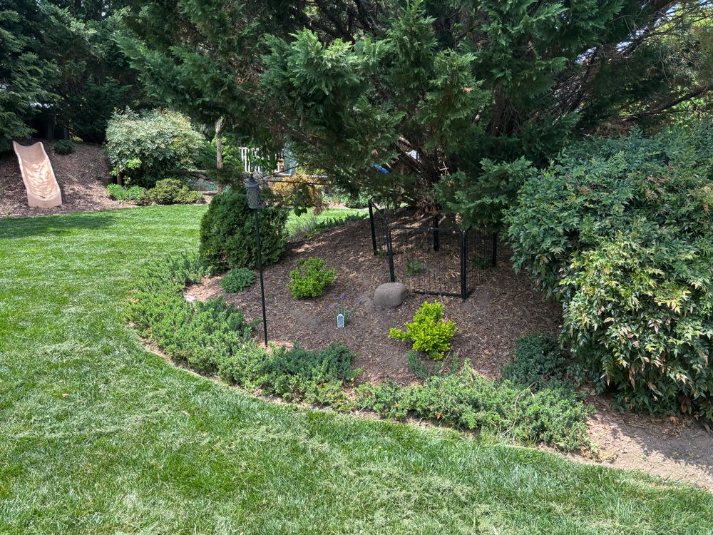 Yard before Border Magic landscape edging installation