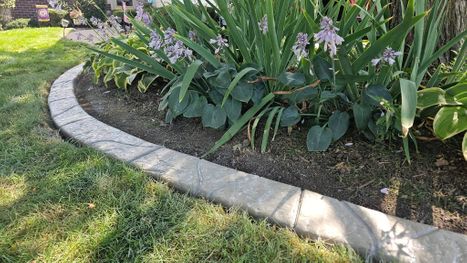 Decorative landscape border with blooming flowers