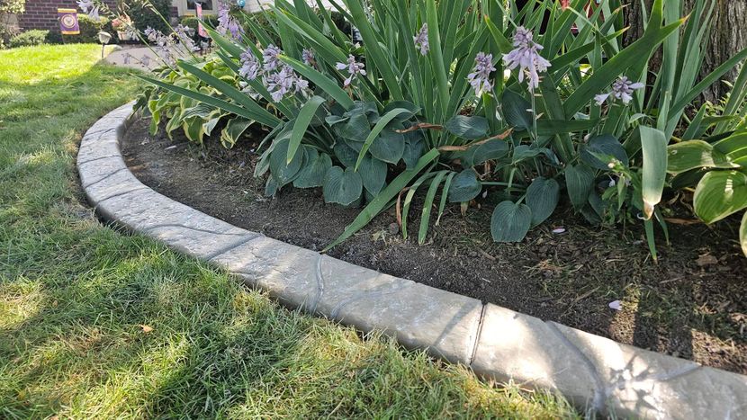 Decorative landscape border with blooming flowers