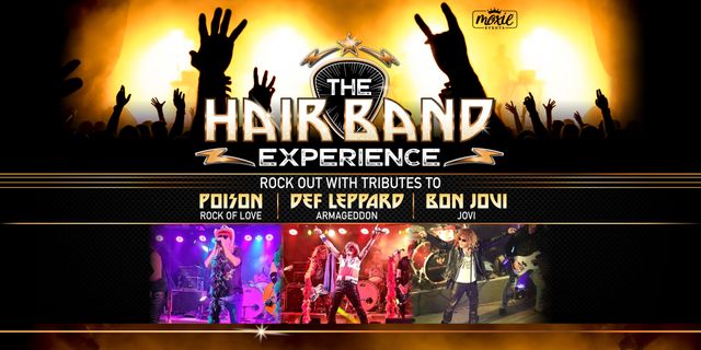 Def Leppard concert experience in 2025