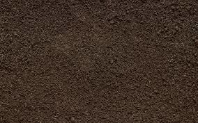 Best Topsoil for Seeding Lawns