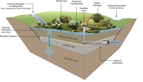 Bioretention Area