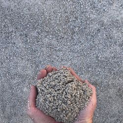 manufactured-beach-sand.jpg