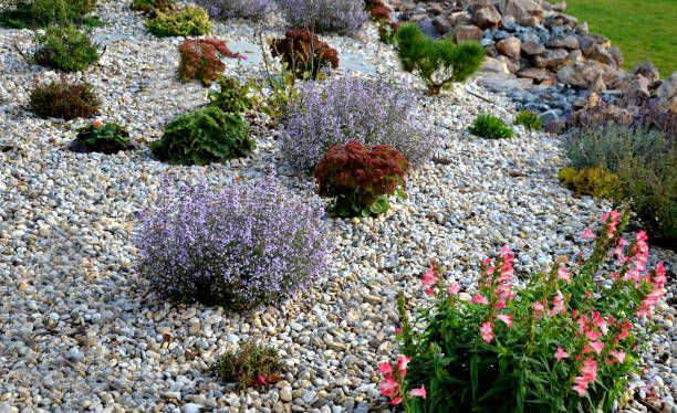 Different Types Of Rock To Use In Landscaping