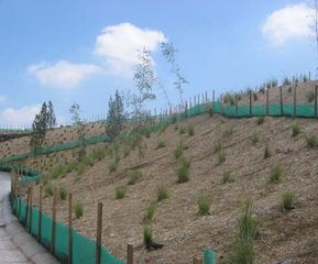 Straw Blanket on Slope with Plants