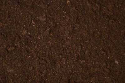 Garden Soil