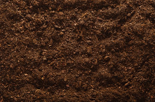 Bioretention Soil