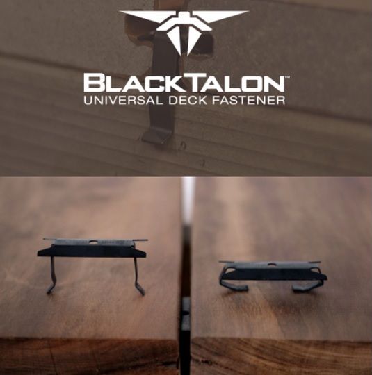 Black Talon Pic.jpg
